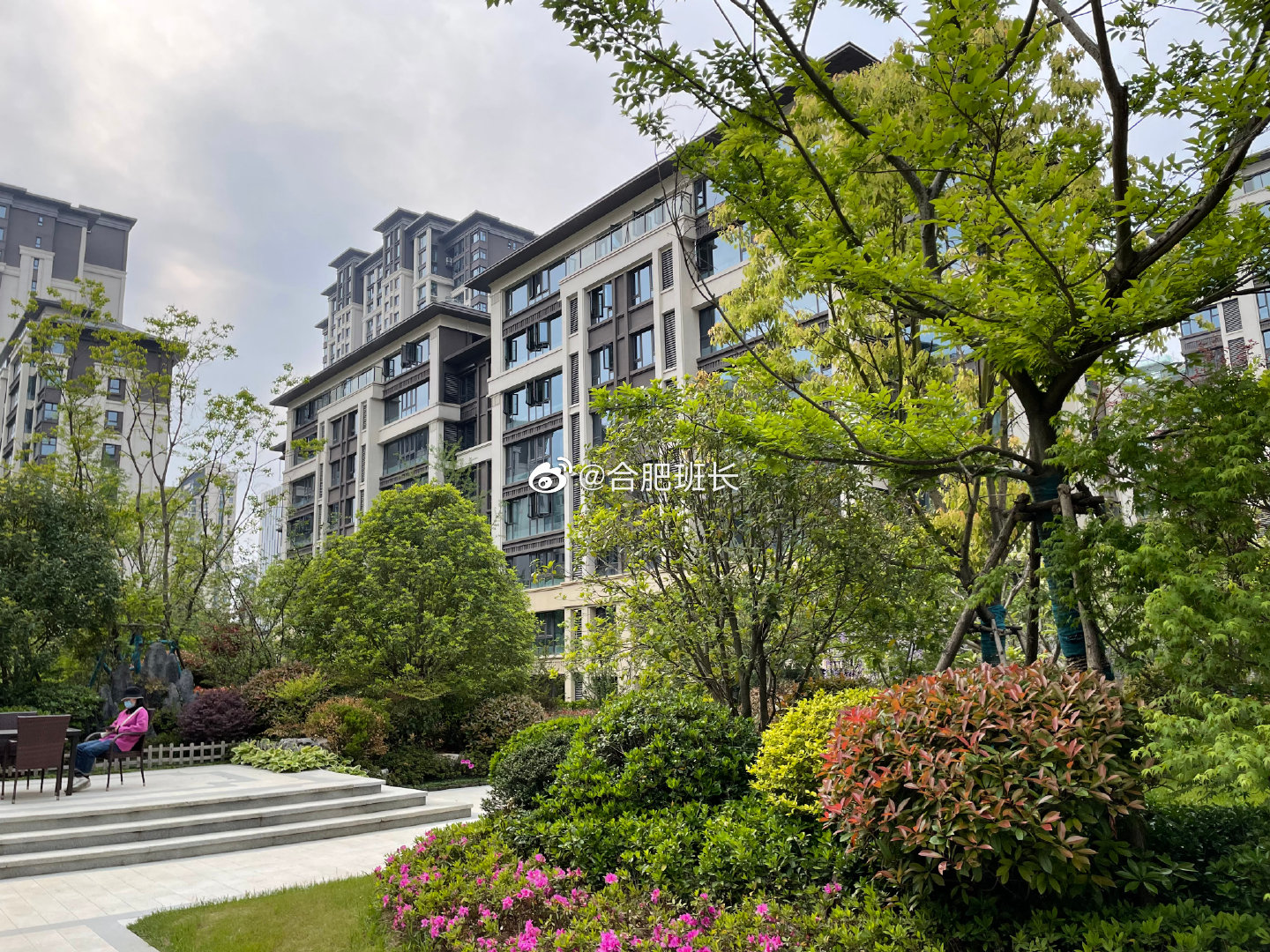 新家|滨湖荣盛华府一期实景曝光 内部绿化品质较好