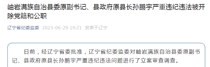 辽宁岫岩满族自治县委原副书记,县政府原县长孙鹏宇被开除党籍和公职