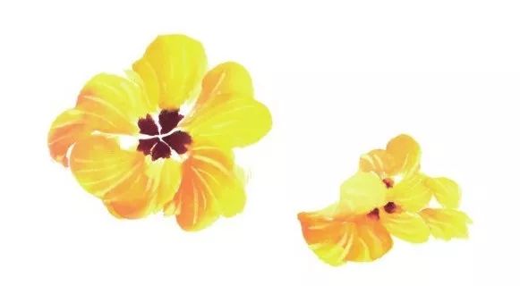 图文教程:写意秋葵画法