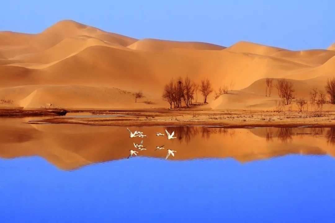 图说乌海文旅|金沙湾生态旅游区