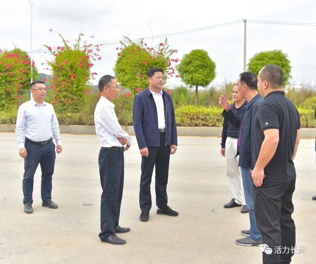 陶国铭到市商贸物流园区调研项目建设