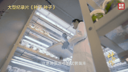 种子库植物的诺亚方舟阅读题_揭开种子方舟的神秘面纱 种子库植物的诺亚方舟阅读题_揭开种子方舟的秘密面纱（揭开种子方舟的神秘面纱阅读答案） 磁力资讯