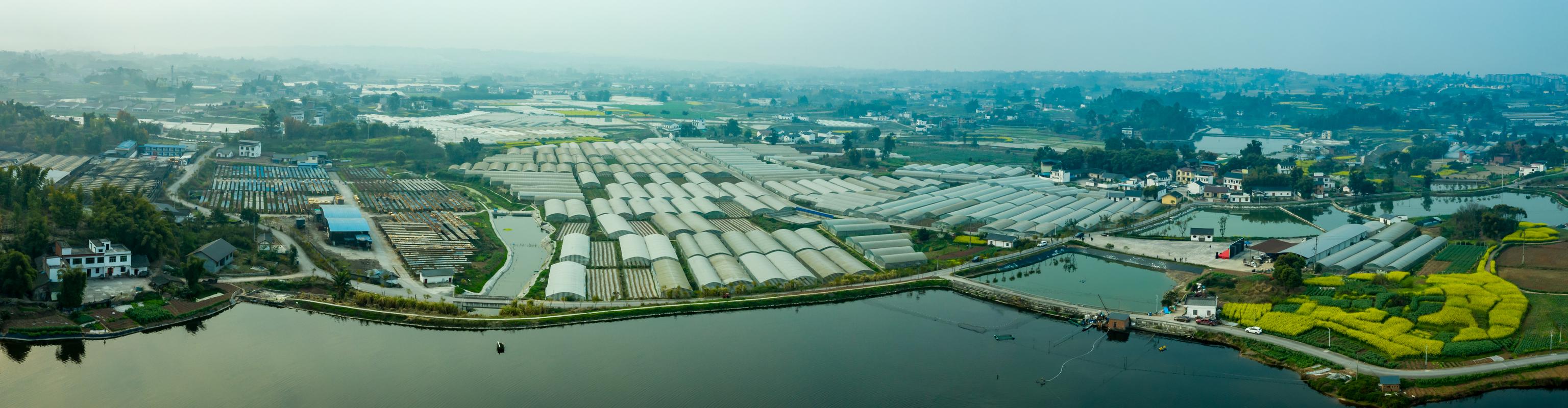 永川区五间镇新建村:党支部建在产业上 "红细胞"深入网格中