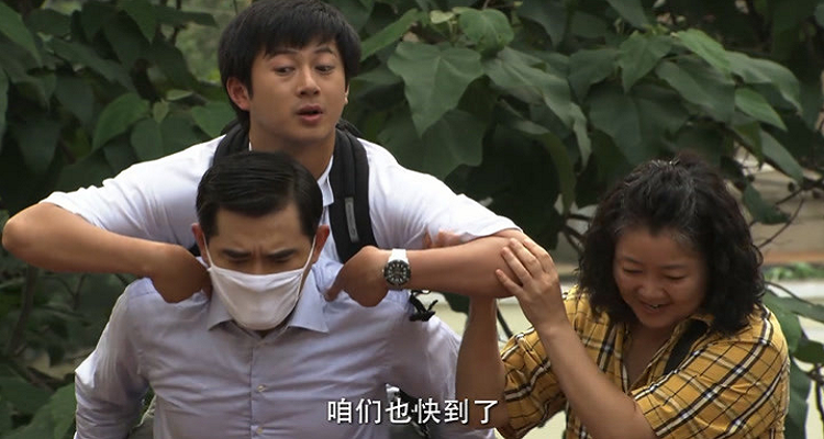 葡萄是哪部电视剧里的女主角