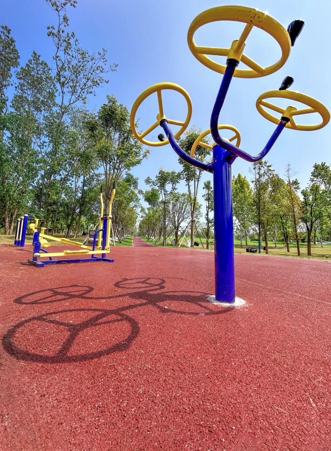 焕新主题公园 打造绿色生态运动空间