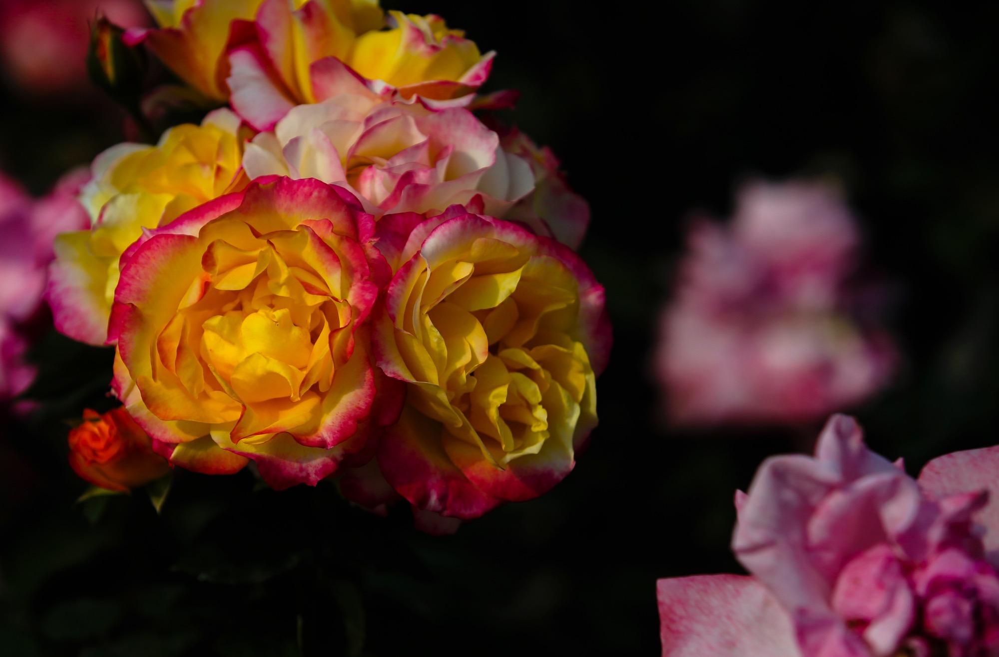 北京号带您"云"游~2021北京网红打卡地之人文景观类(下)