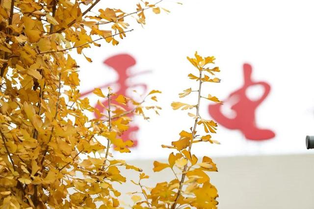 聂强:为职业教育发展贡献重电智慧,重电模式,重电经验