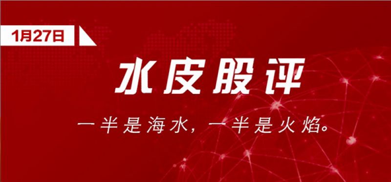 水皮 「谈股论金」一半是海水