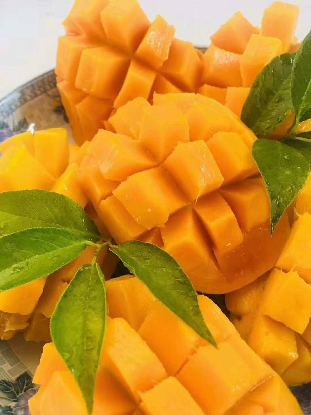 广州白云机场进口越南的芒果进口报关报检需要什么单证资料?