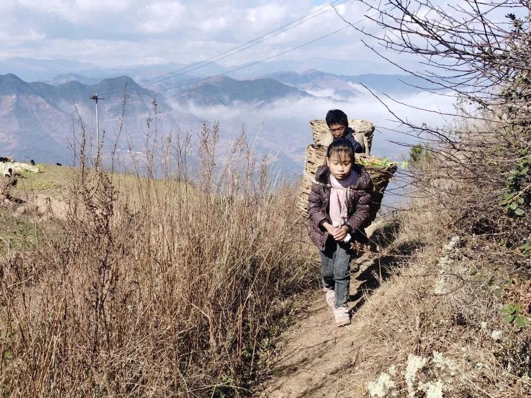 背着箩筐的小女孩,每天要走四小时的山路去上学