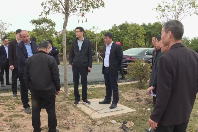 方炳烙,林广实检查指导滨海景观示范带碣石段"三线"整治工作