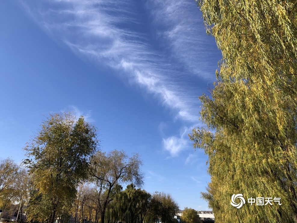 北京天空湛蓝 出现大片毛卷云