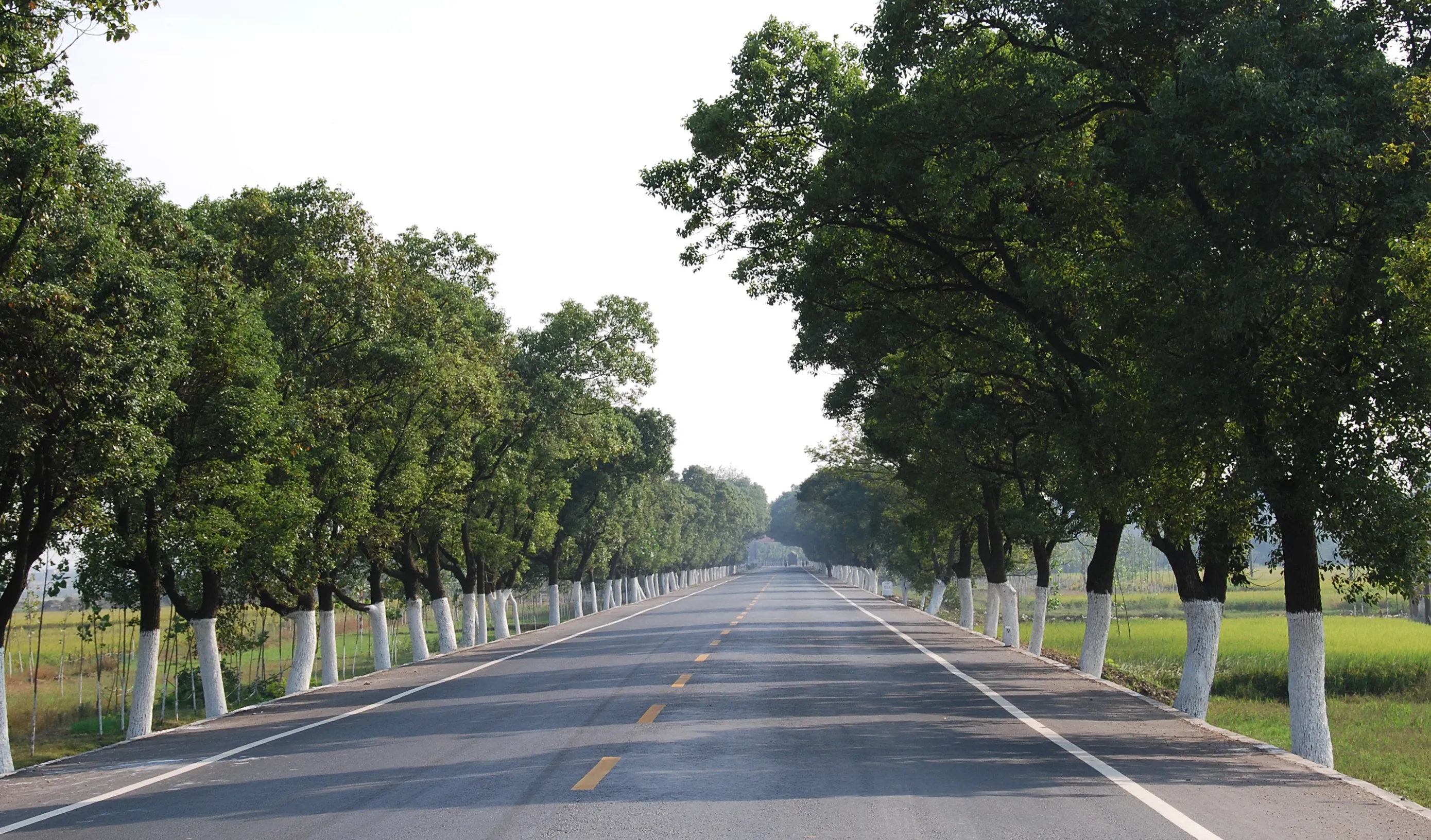 四级公路效果图图片