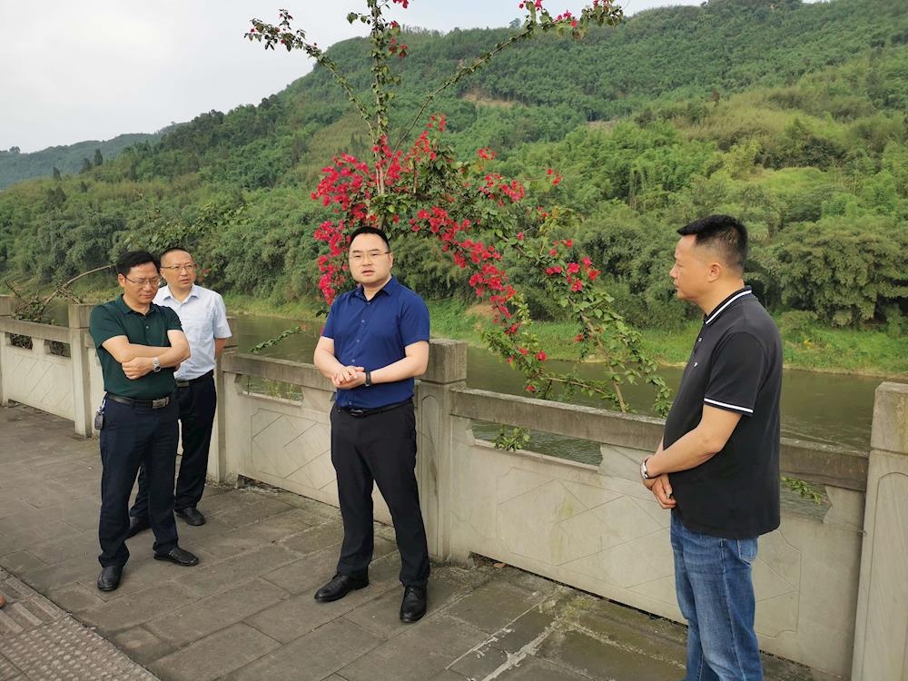 纳溪区区长,永宁河河长袁维荣带队督导天仙镇永宁河河湖长制工作