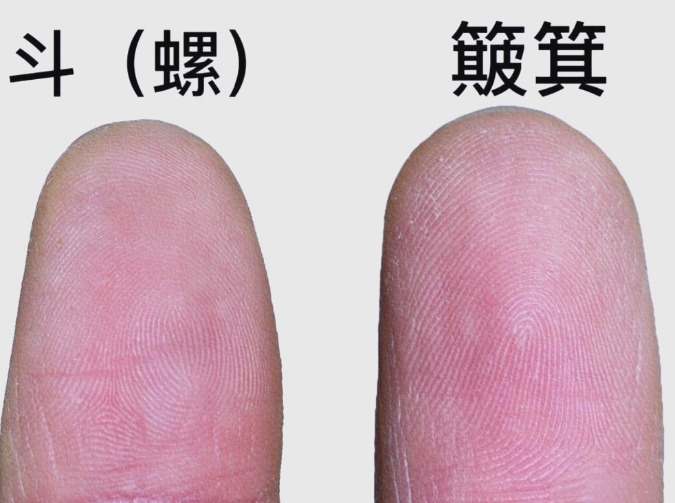 揭秘手指斗与人生运势之间的真正关系