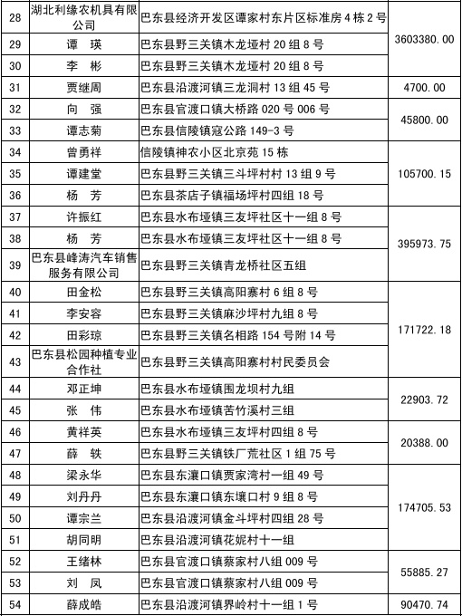 巴东510案件图片