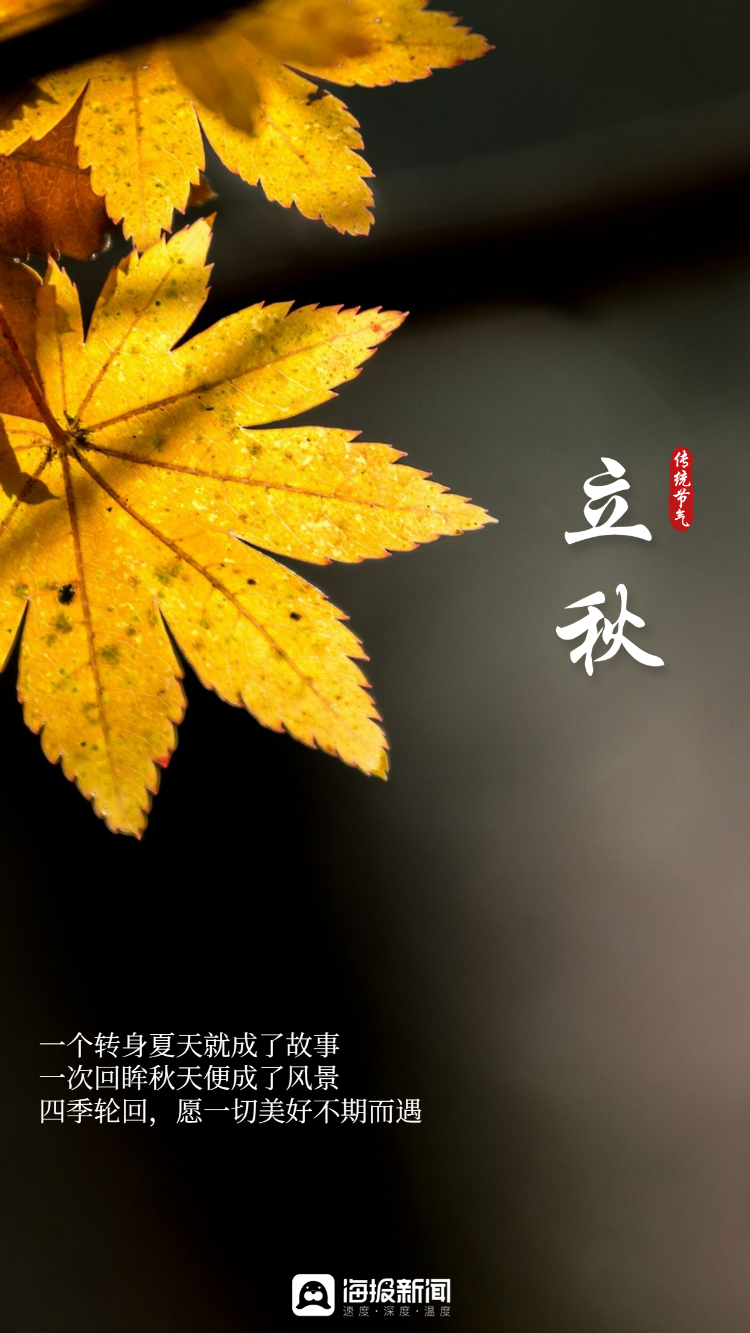 海报图品|立秋:连晴不知夏去,叶落方知秋至