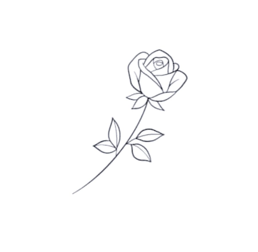 探索玫瑰素描的多样风格:七夕简笔画教程