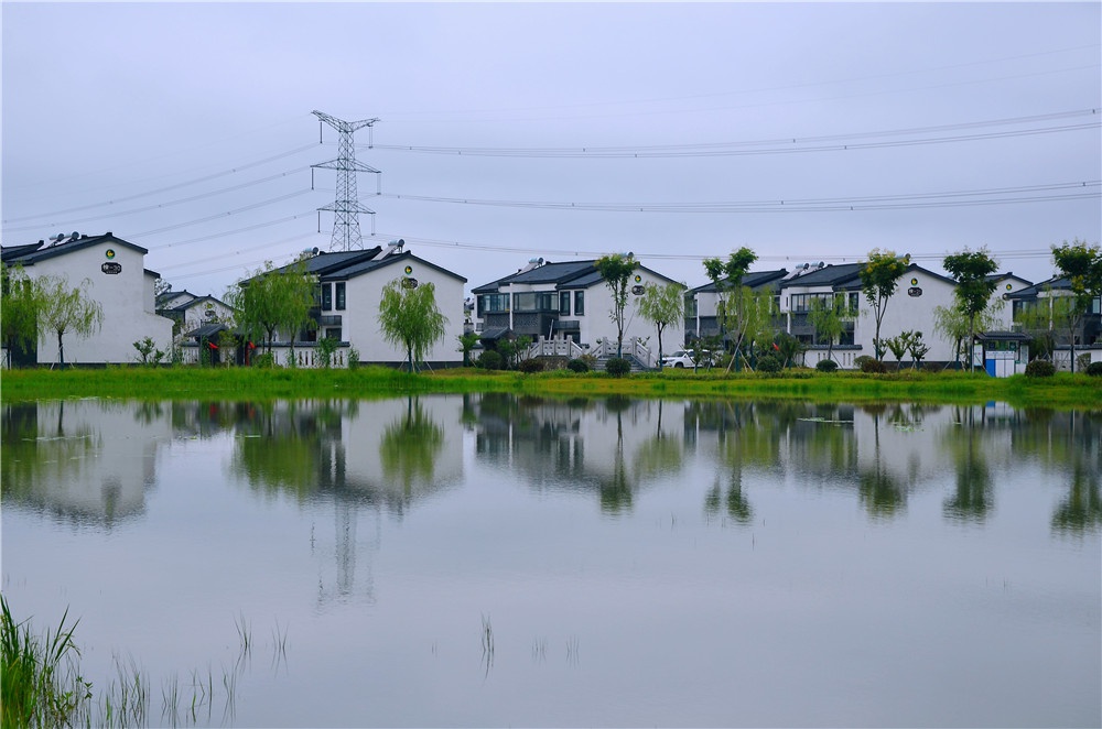 强产业 美生态 兴文化 涟水红窑镇奏响乡村振兴"奋进曲"