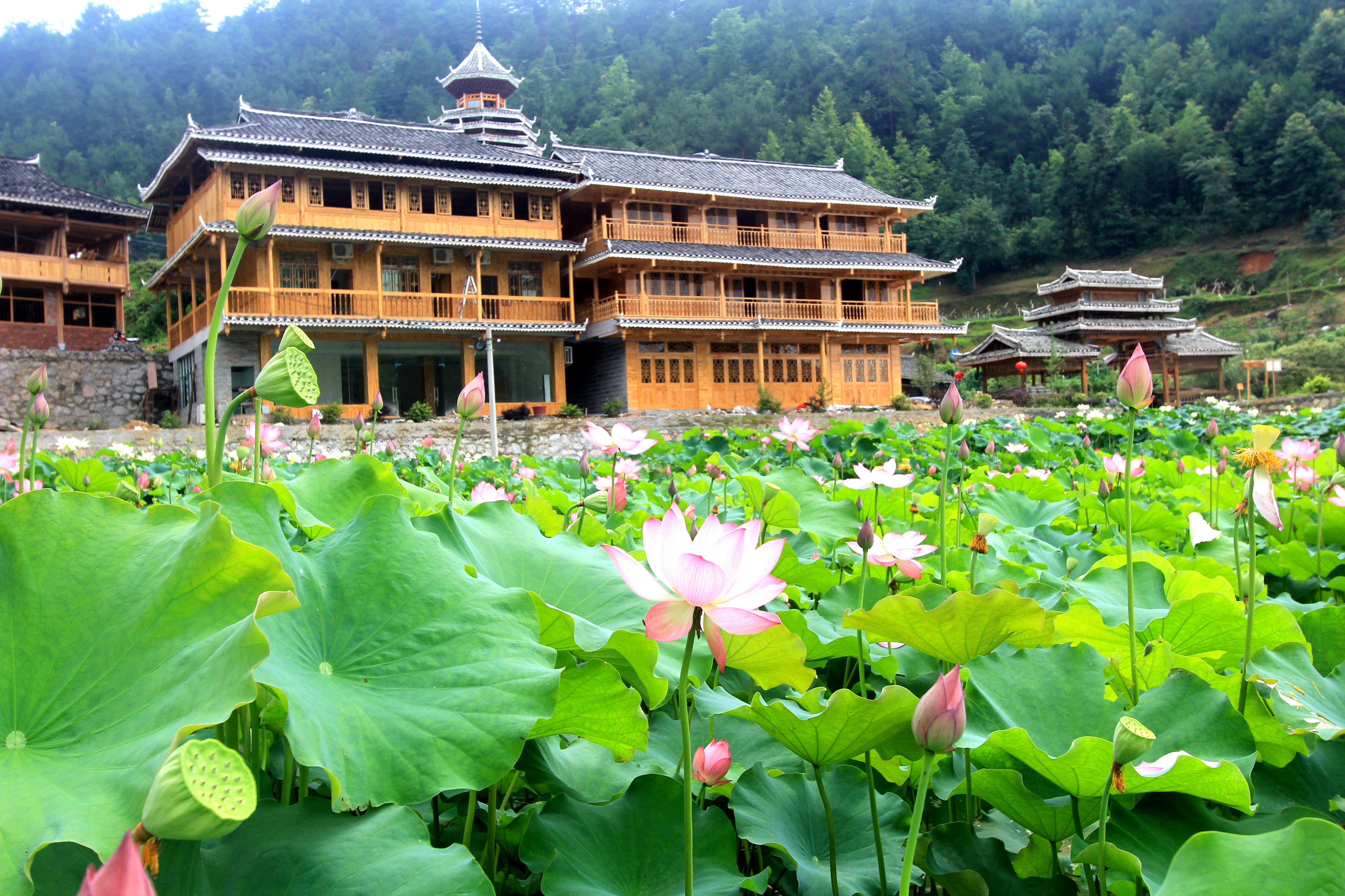 从江县洛香镇四联村:共建和美乡村,助推旅游发展