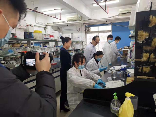 走进科学家徐国风教授实验室,感受生物医学工程的魅力