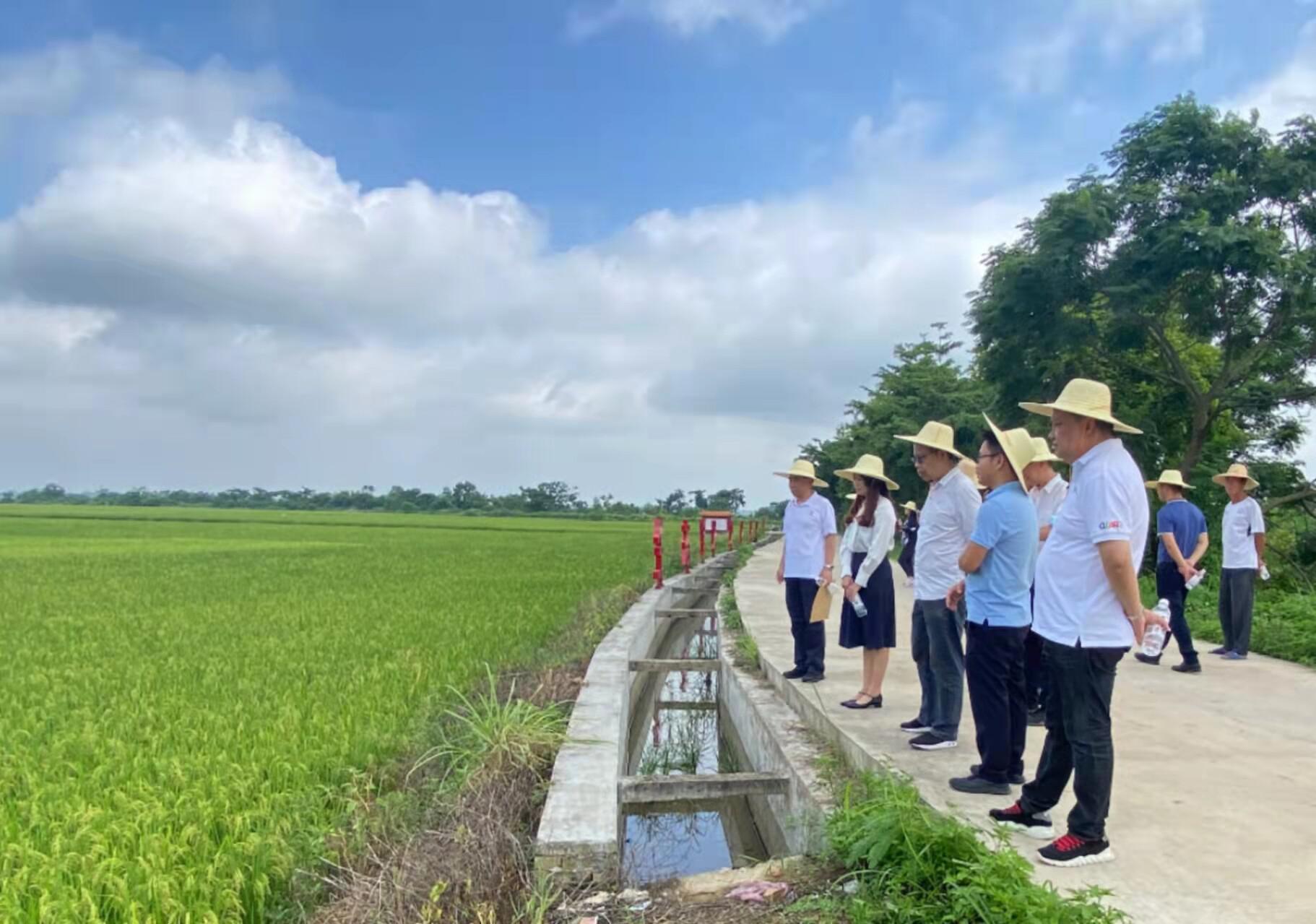 汤汉忠赴吴川市覃巴镇调研驻镇帮镇扶村工作