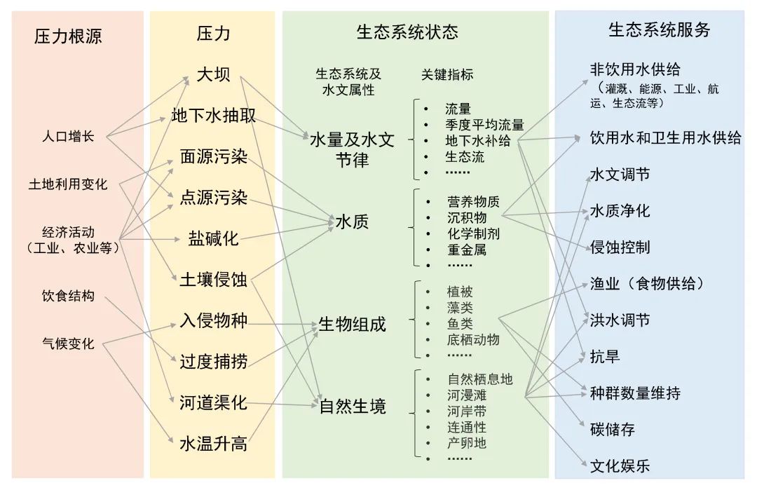 生态系统有哪些服务功能?