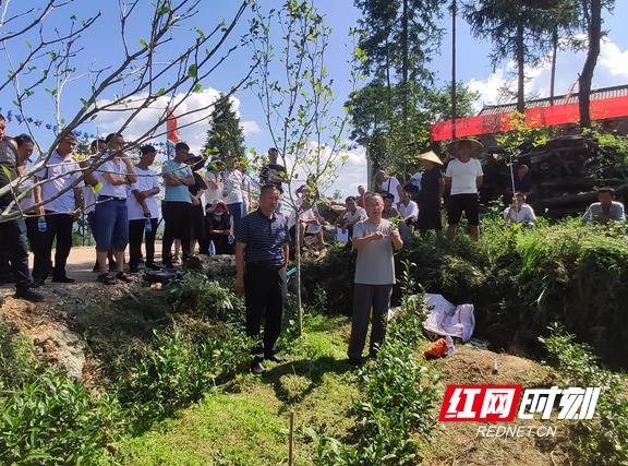 花垣县幼龄茶园秋冬季培管现场培训会召开