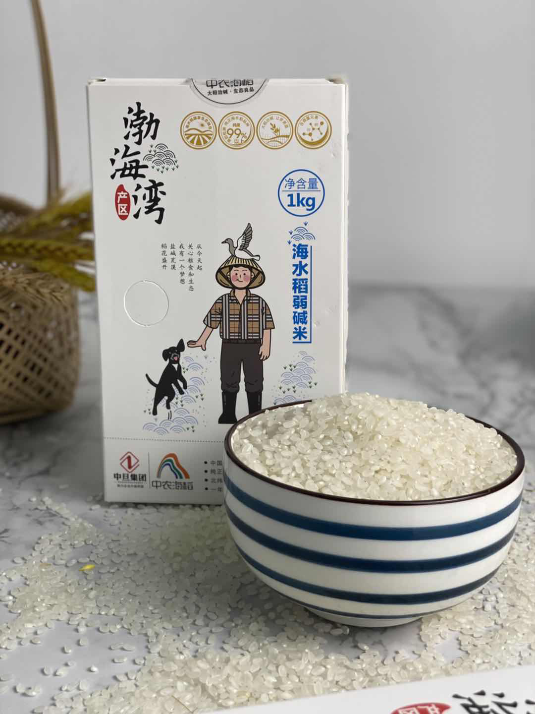 中旦海水稻图片