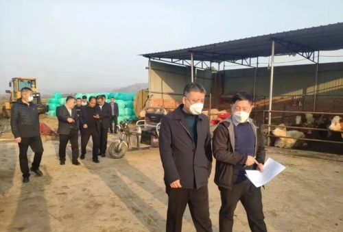 市督察组实地核查夏县卫片图斑以及疑似"大棚房"图斑整治"回头看"工作