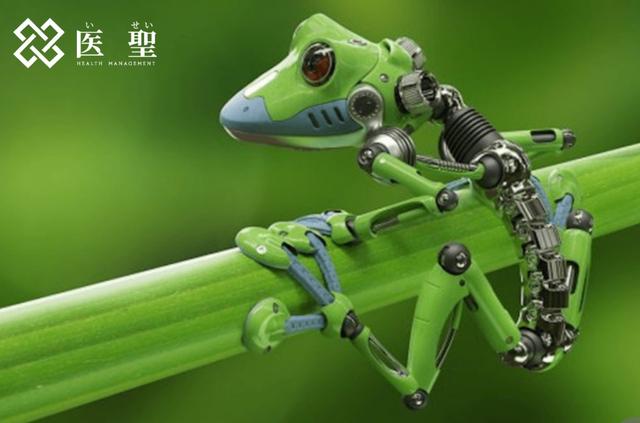 来自青蛙的微小机器人"zeno机器人,未来医疗有出路吗?