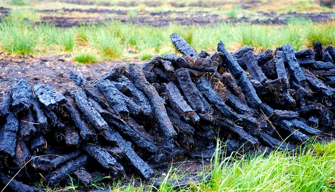 泥炭沼泽:独特生态系统的重要性与保护策略