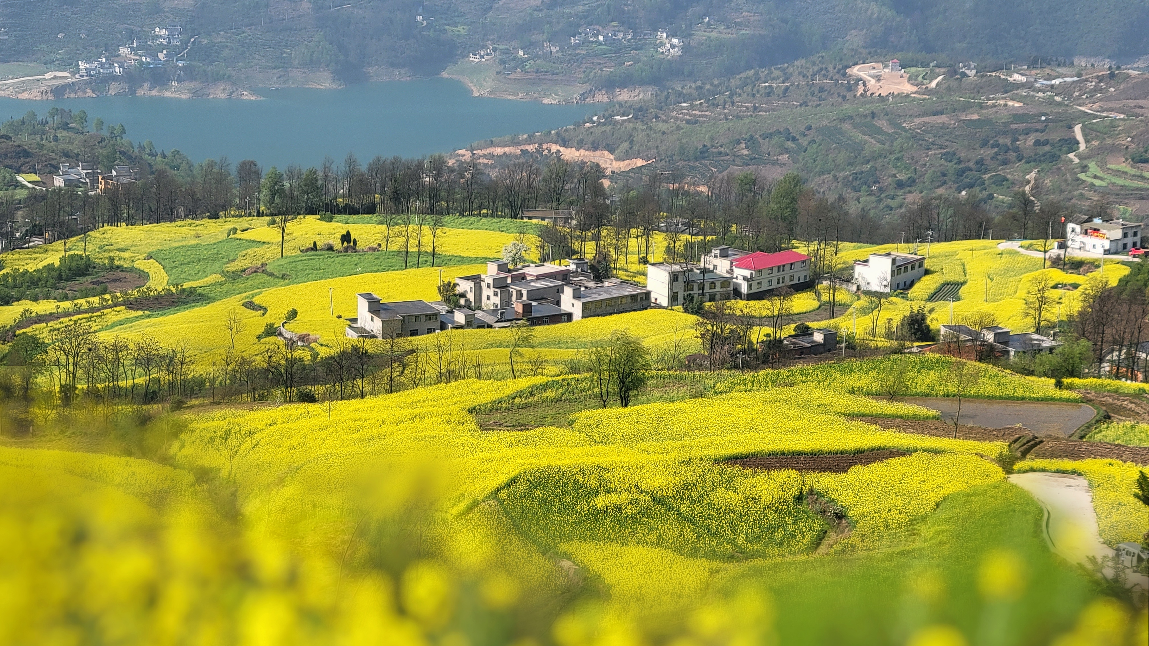 清镇市新店镇:探索红文农旅新路径 描绘乡村振兴新图景