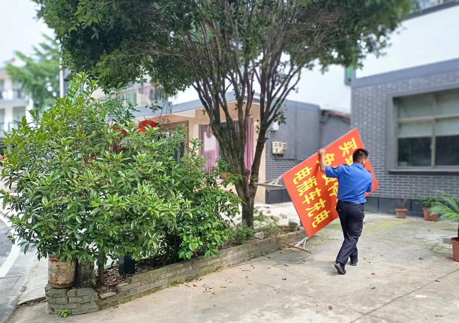 赤松镇开展黄大仙景区沿线综合整治