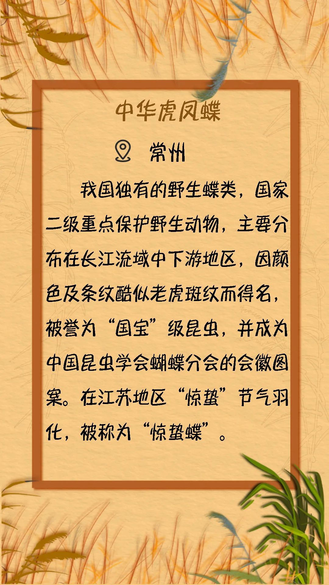 摄> 苏州林业站 供图> 苏州林业站 供图> 阿惠 摄> 南通海底世界 供图