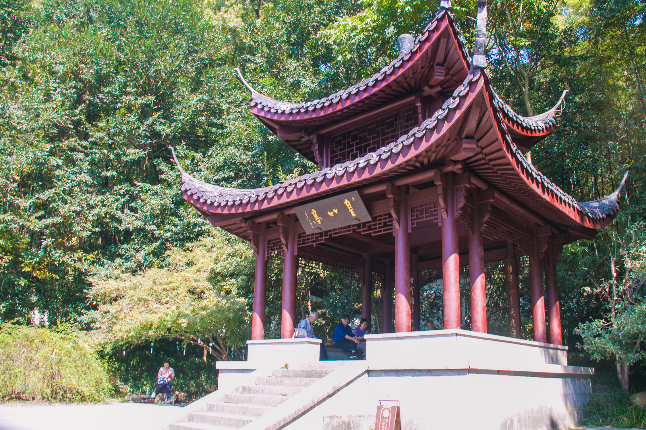 走进"万千竿竹浓荫密,流水青山如画图"的云栖竹径景区(二)