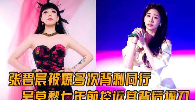 漫谈娱乐圈资源争夺战:张碧晨与吴莫愁的七年恩怨