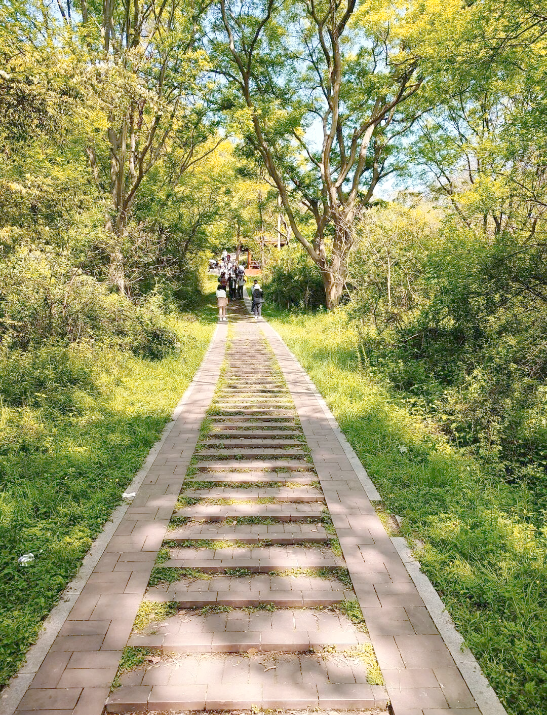 武汉周边免费登山胜地攻略