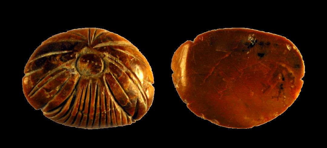 金代完颜娄室墓中出土的奢华文物