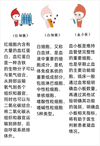 血液内红细胞,白细胞,血小板的作用
