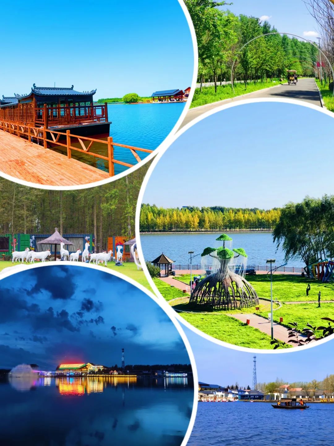 一起看新区双城的朋友圈竟然是这样