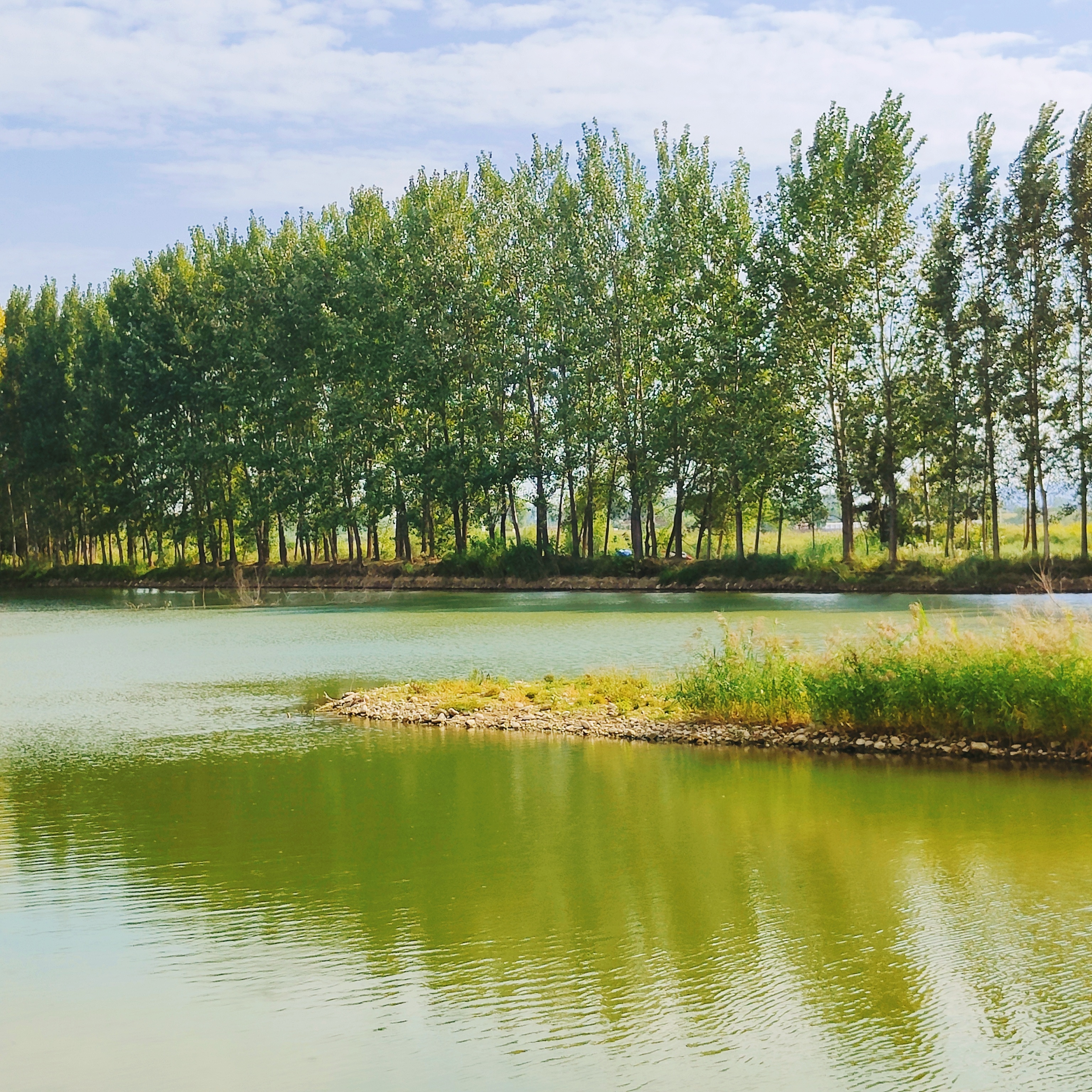 禹州沙陀湖:风景这边独好!