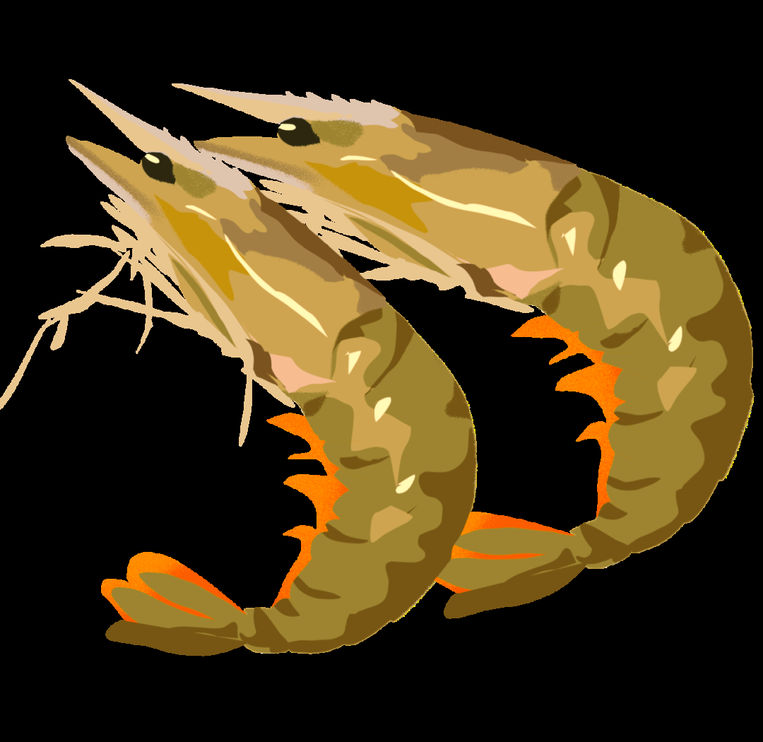 大虾丰收,罗氏沼虾"太湖一号"美味上市