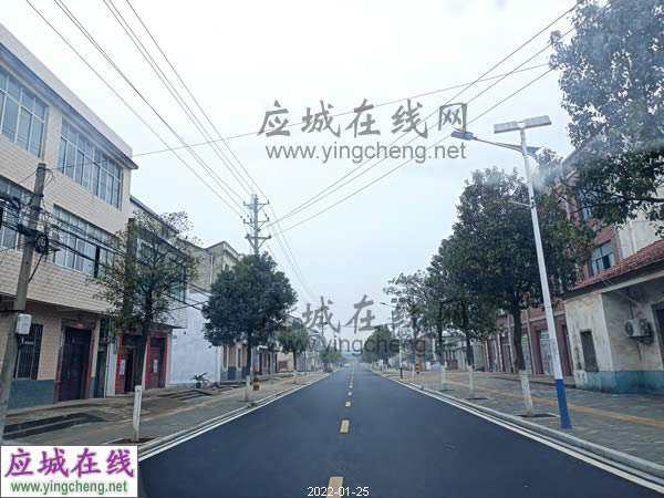 应城天鹅镇街道图片