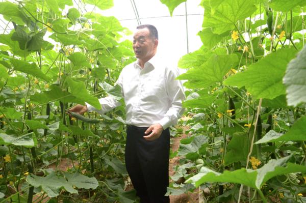 新征程·再出发丨全国人大代表李士强:以壮大集体经济为基础 带动全体