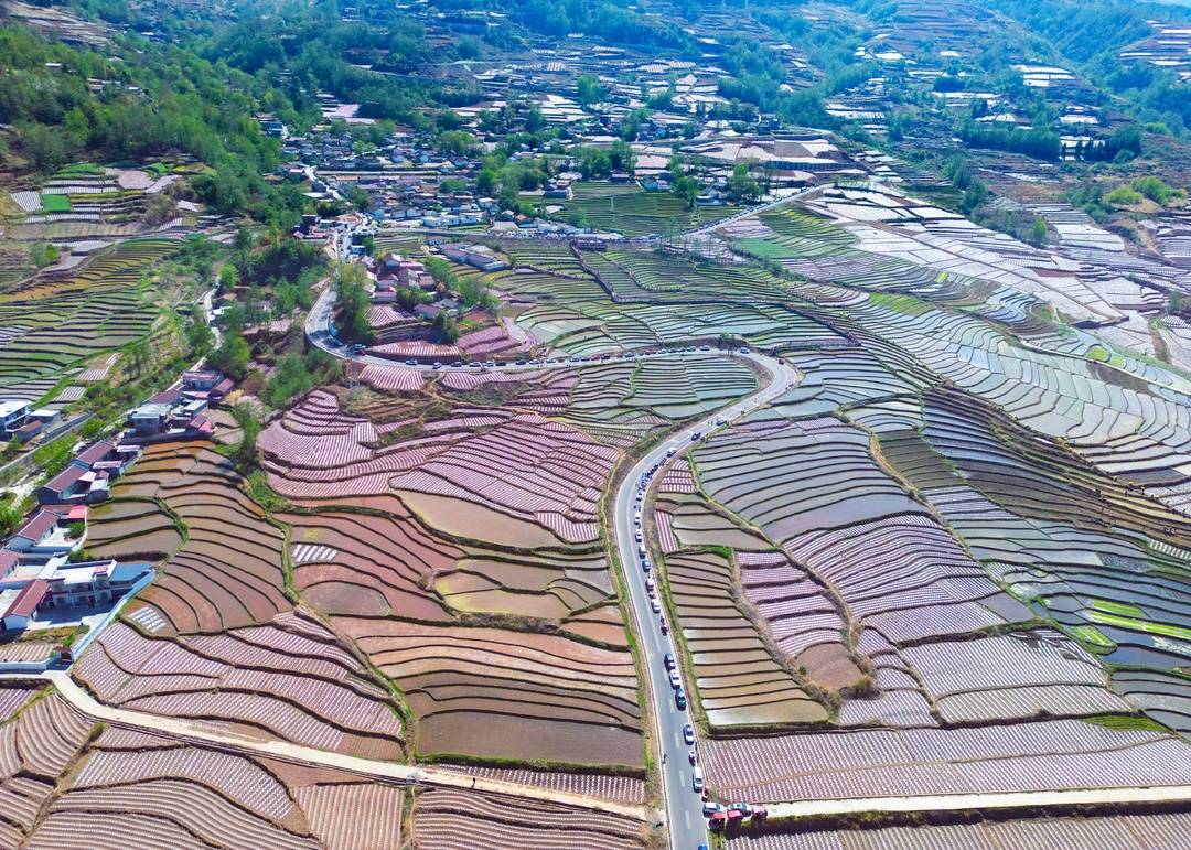 开耕了!来看四川凉山越西县五彩梯田"春耕图"丨图集
