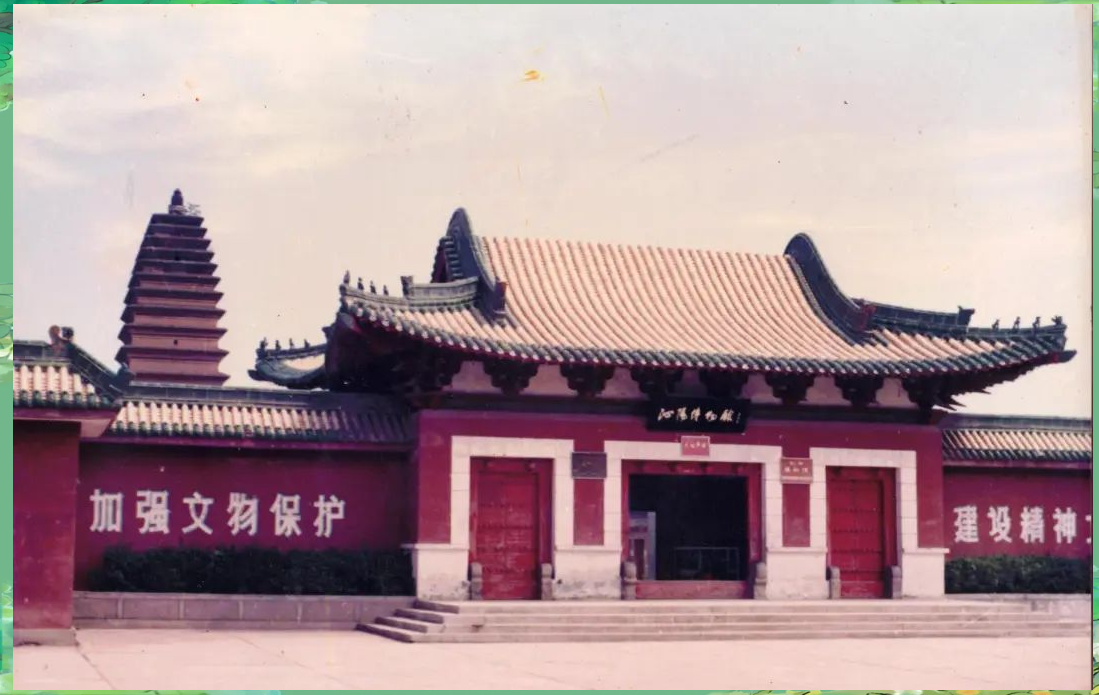 沁阳市博物馆40年:从创立到文化传承的辉煌历程