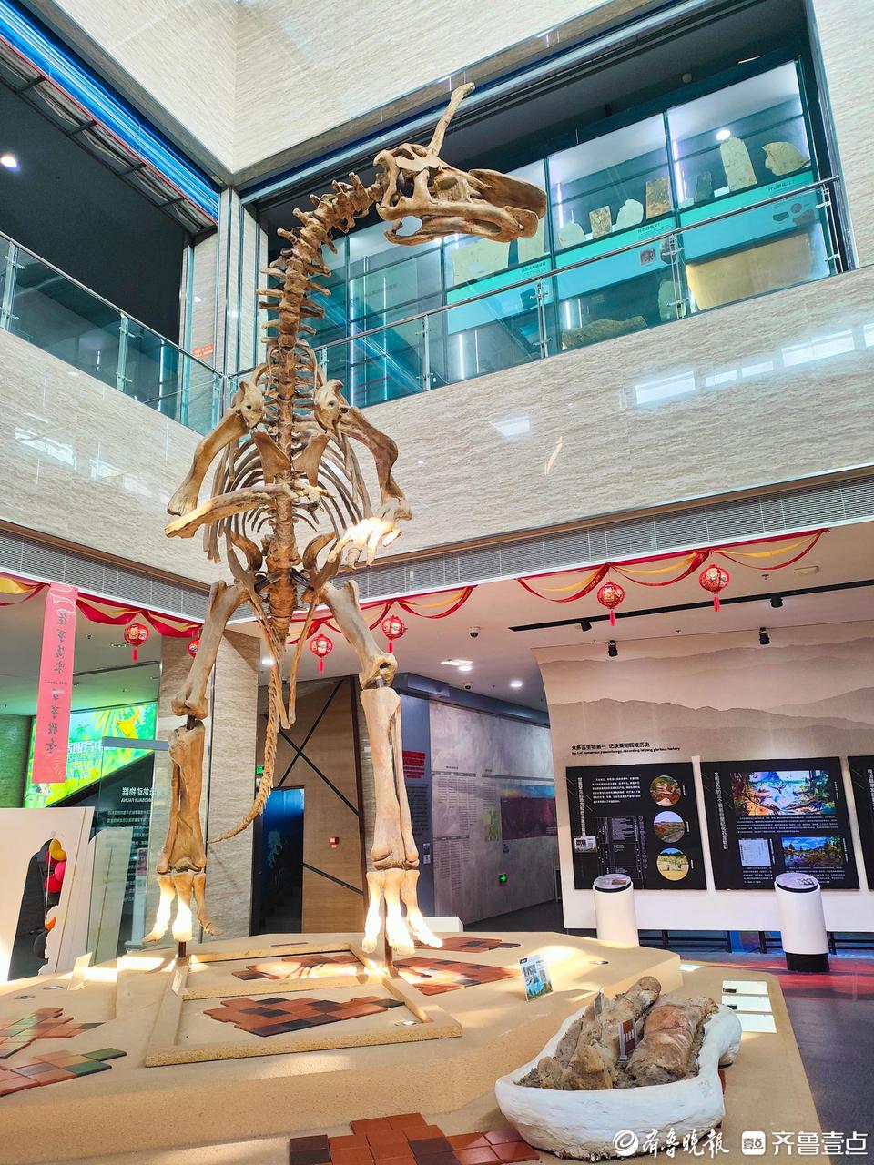 梦回白垩纪,邂逅大恐龙,探访莱阳市古生物化石博物馆