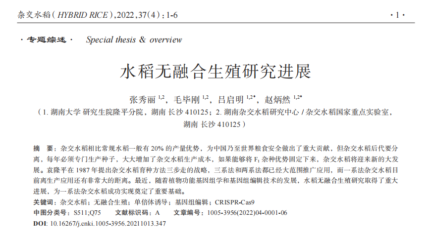 中国杂交水稻突破"一系法"关键技术,效果如何?