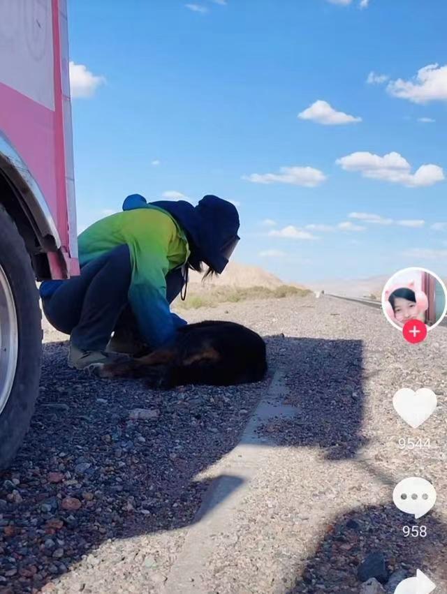 河南美美徒步西藏死亡 离奇死因成谜